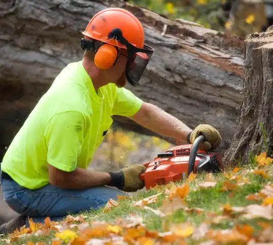 tree services Avery Creek